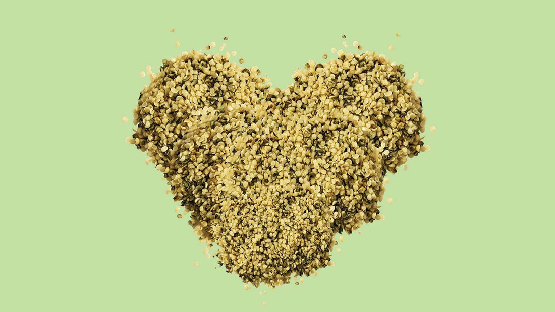 The health benefits of hemp hearts, from protein to vitamins to fats and minerals